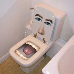 toilet