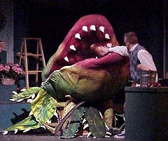 Little Shop of Horrors